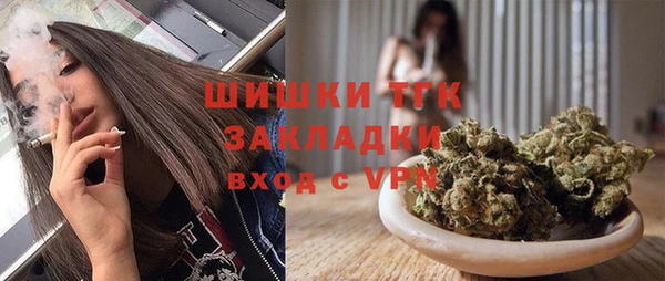 mdpv Бородино